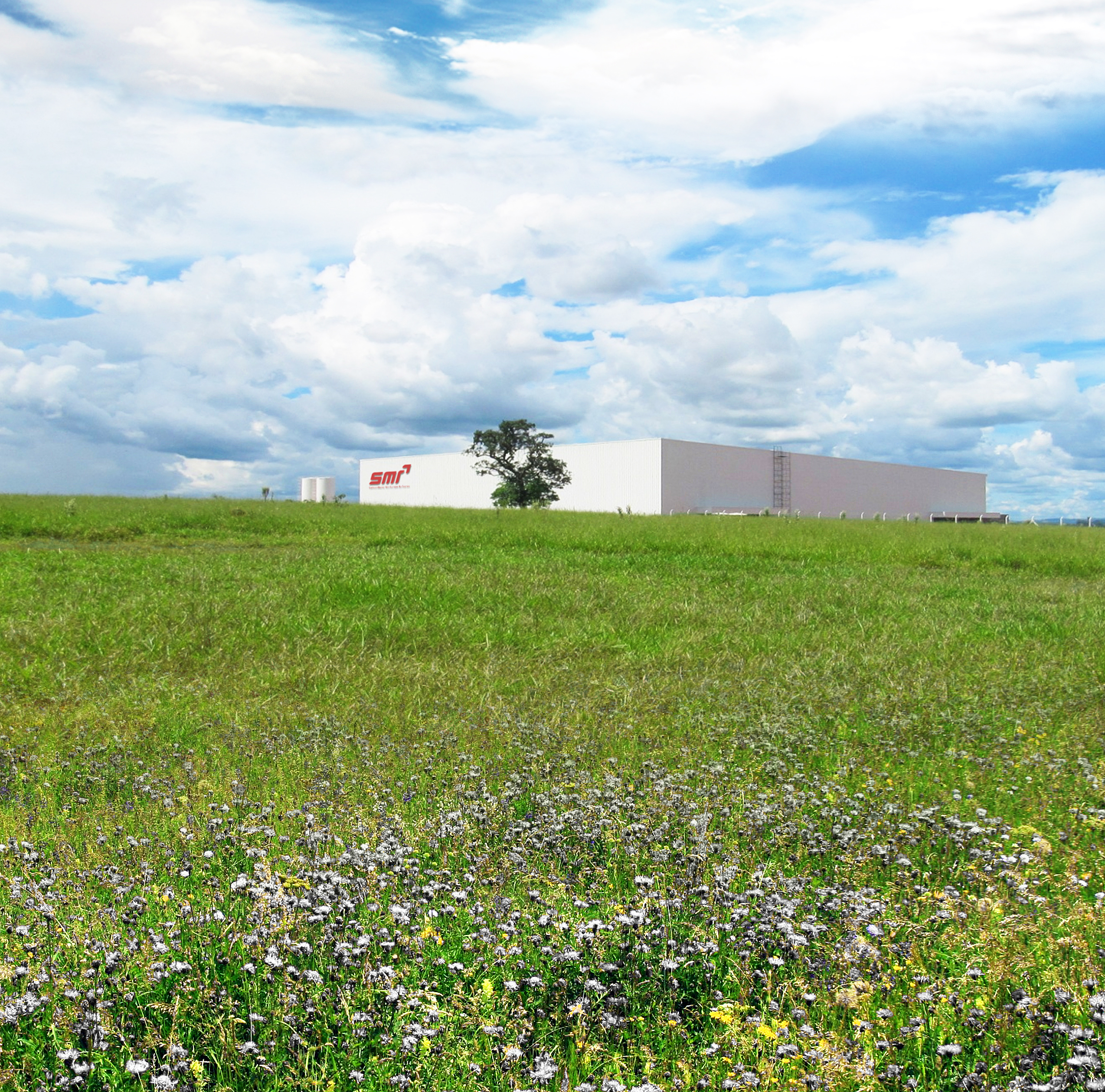 company SMR Automotive